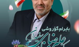 photo_2025-04-18_01-08-33