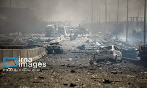 photo_2025-04-27_11-41-34